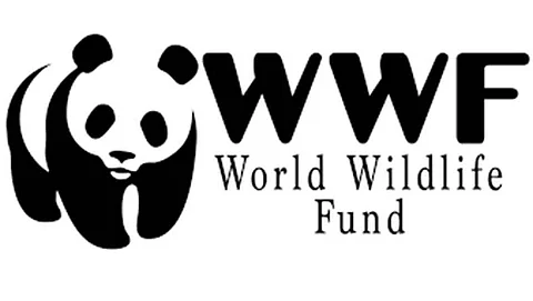 WWF-I erects solar-powered fence along Chug valley in West Kameng district