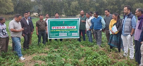 Training on post-harvest management of potatoes in Tezpur