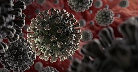 Udalguri villagers build barricades to keep coronavirus at bay