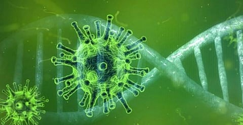 Isolation, less migration key factors for less coronavirus spread in Northeast: Experts