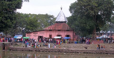 Preservation steps are taken for ailing turtles of Nag Shanker Devalaya