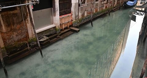 Venice canals appear cleaner amid coronavirus lockdown