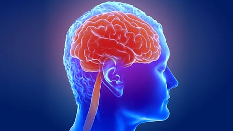 Researchers say Combination of food items may up or lower dementia risk