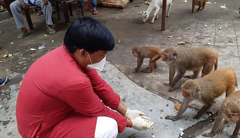 Golokganj MLA Ashwani Roy Sarkar feeds monkeys at Mahahaya Dham & Snan Ghat