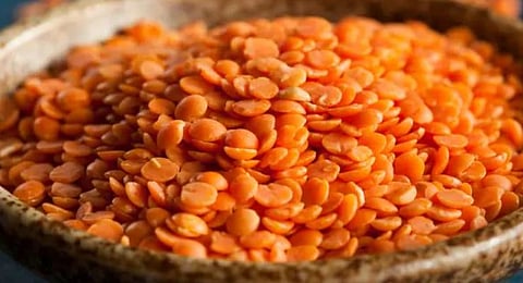 Free Masur dal for NFSA cardholders begins in Morigaon district