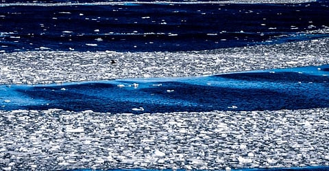 First-ever heat wave recorded in Antarctica: Australian Antarctic Program