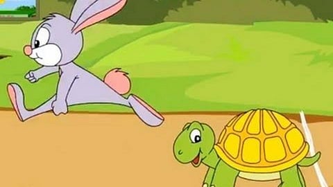 Tortoise And Rabbit