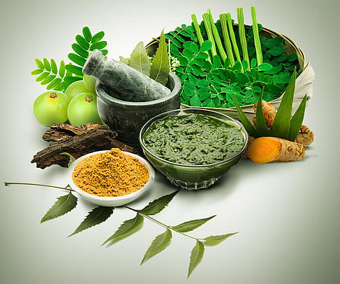 रोगप्रतिकारक शक्ती वाढवणारे १३ आयुर्वेदिक मार्ग