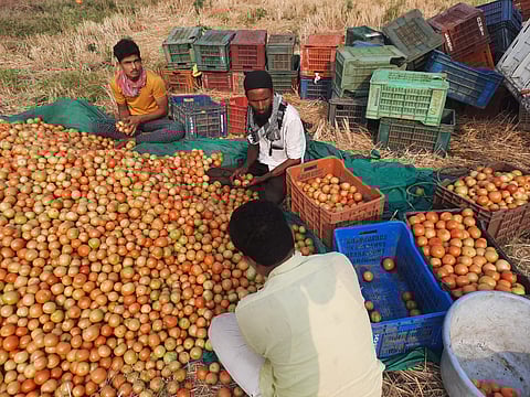 भाजीपाला कवडीमोल भावाने