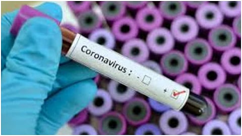 Coronavirus
