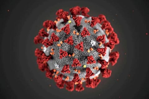 corona hotspot