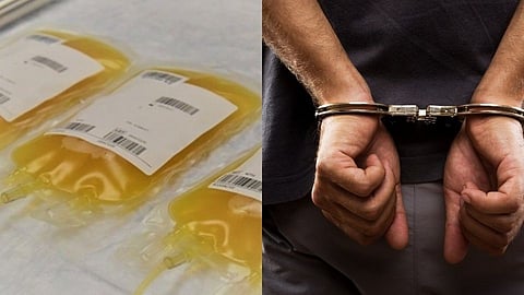 प्लाझ्माच्या वाढीव पैशांसाठी नकली पिस्तुलाने धमकावले; दोघे पोलिसांच्या ताब्यात