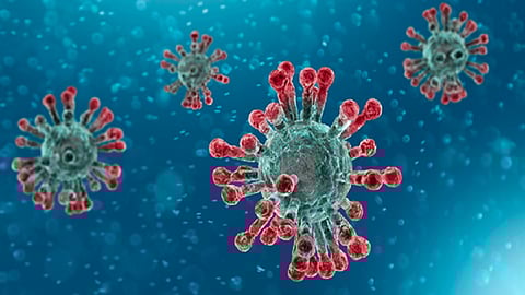 health news doctor who Omicron in mumbai Report of Genome Sequencing mumbai