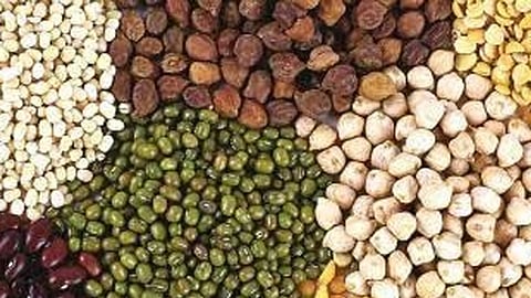 बोगस बियाणे-खत विक्रीवर भरारी पथकांचा वॉच