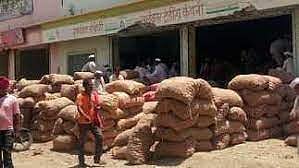 Sangamner market committee