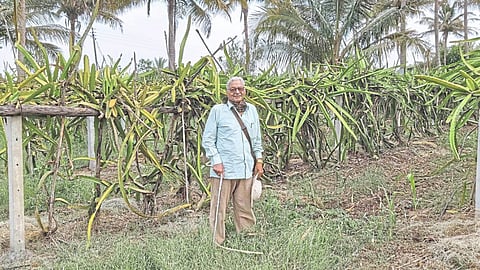 After retiring from a bank at the age of 50 Arun Nilkanth Pradhan planted a dragon orchard at Nimone