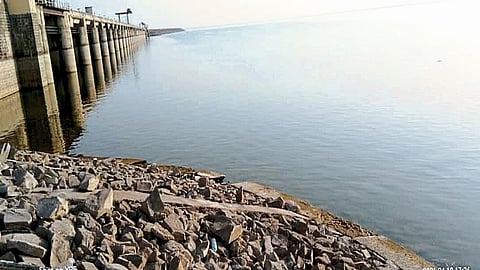 Jayakwadi Dam: "जायकवाडीला पाणी सोडण्याचा निर्णय कशाच्या आधारे घेतला"; हायकोर्टाचा सरकारला सवाल