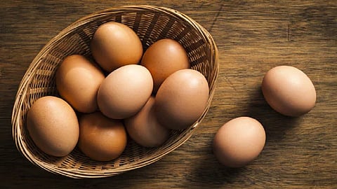 अंड्यांच्या मागणीसह दरातही वाढ; चिकन, मटणालाही पसंती