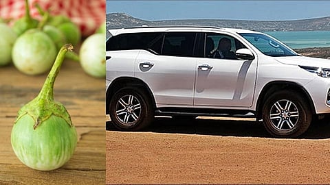 नाद करायचा नाय! फॉर्च्युनर गाडीतून वांग्याची विक्री, चर्चा तर होणारच