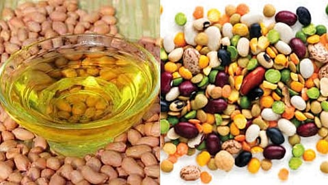 Oil & Pulses
