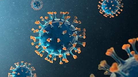 पुण्यात कोरोनामुक्तांची संख्या वाढली; नवीन रुग्णही कमी