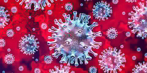 Corona Virus