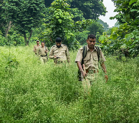 उन्हाळा वनकर्मचाऱ्यांसाठी ठरतोय कर्दनकाळ; वन्यप्राण्यांच्या संवर्धनासाठी पाहारा