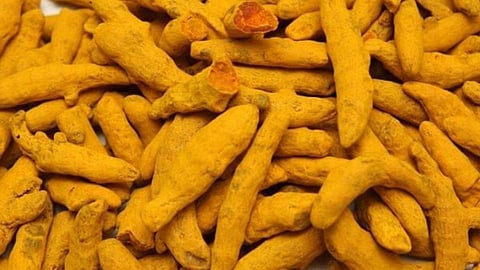 Turmeric