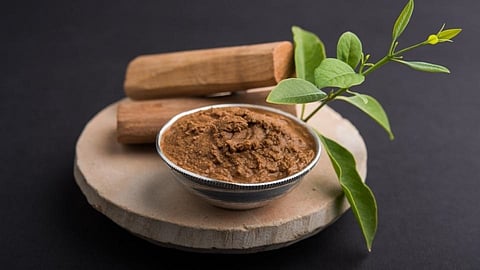 Good News : आता करा चंदनाची शेती, शासनाकडून मिळणार अनुदान