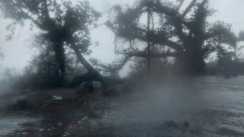 Tauktae cyclone: रात्र वैऱ्याची; मंडणगडात वाऱ्याचा धडका