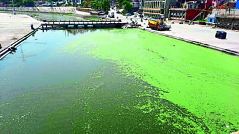dirt in the Godavari river