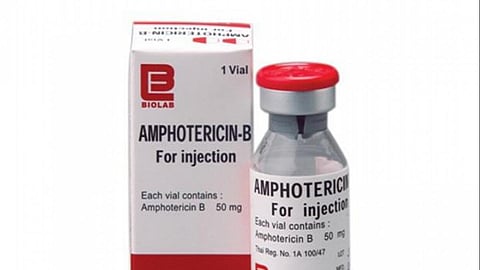amphotericin-b