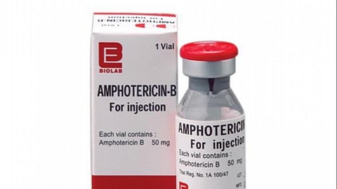 amphotericin-b