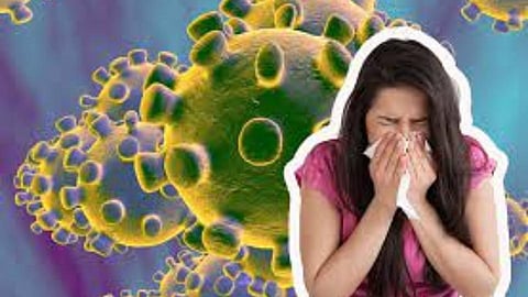 हिंगोली जिल्ह्यात कोरोना बाधितांच्या रुग्ण संख्येसह मृत्यू दरही घटला