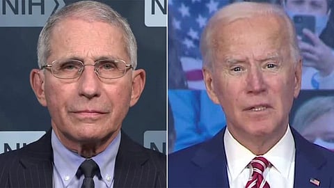 anthony fauci and joe biden