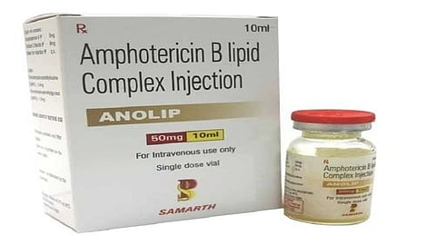 amphotericin-b