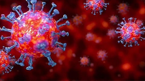 कोरोना रुग्णांची होम आयसोलेशन सुविधा बंद करा; टास्क फोर्सची सूचना