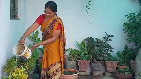 कोरोनाकाळात जोपासला हिरवाईचा छंद; फुलझाडे, औषधी वनस्पतींची लागवड