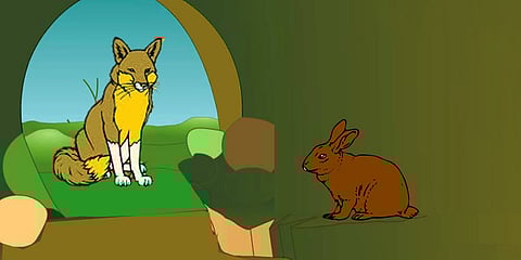 Rabit and Fox Story
