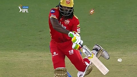 chris gayle