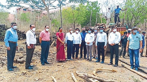 north maharashtra university