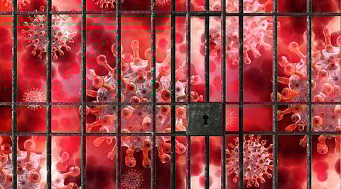 कोरोनाचा धसका! भारतातून आल्यास 5 वर्षांचा तुरुंगवास आणि दंड