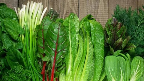 food for liver