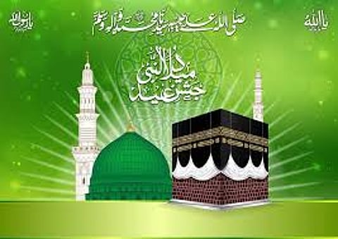 mashid