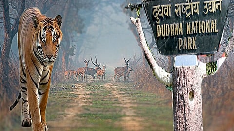 Dudhwa National Park