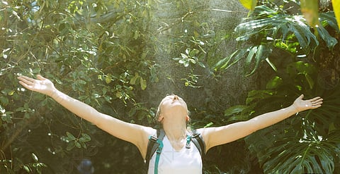 मॉन्सूनमध्ये फिरायला जाताय?, मनमुराद आनंद लुटण्यासाठी ही आहेत सहा ठिकाणं