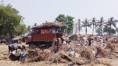गोड-धोड पंगतीशिवायच ऊसतोडणी कामगार माघारी