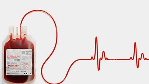 व्हॅलेंटाईन अन् ओंजळ रक्तफुलांची!