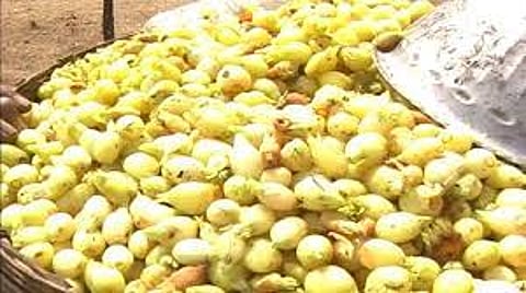 गडचिरोली जिल्ह्यात तब्बल 1400 कोटी रुपयांची मोहाची उलाढाल