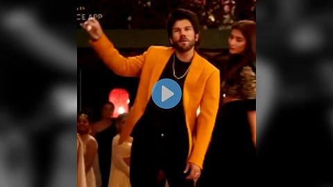 डेव्हिड 'अलू अर्जून' वॉर्नर... हा भन्नाट Video पाहिलात?